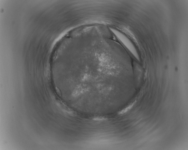 X0000076080388200610152258