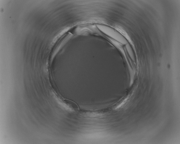 X0000076080389200610152258