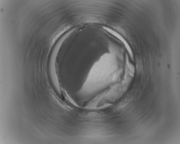 X0000076080390200610152258