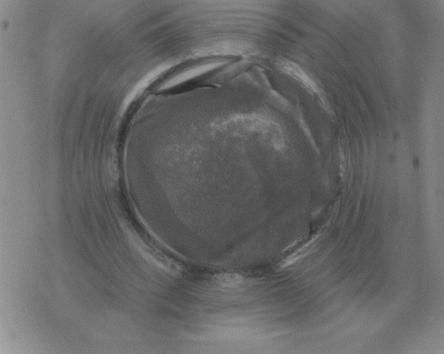 X0000076080392200610152258