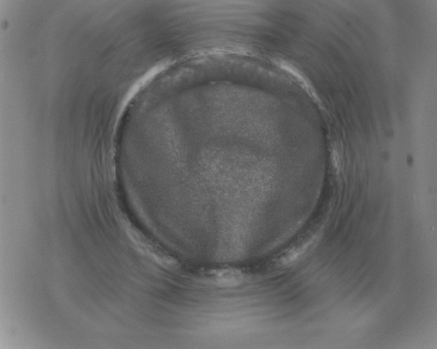 X0000076080395200610152258