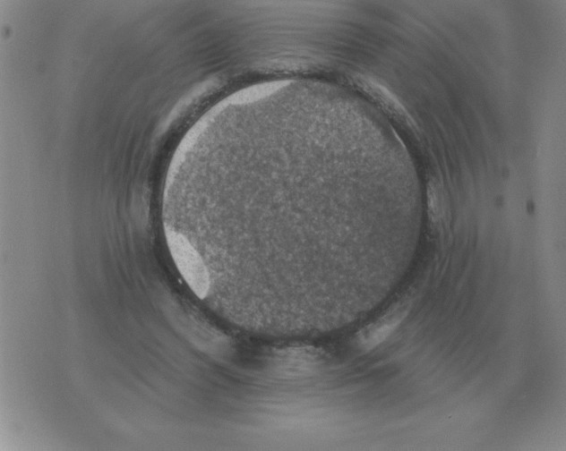 X0000076080396200610152258