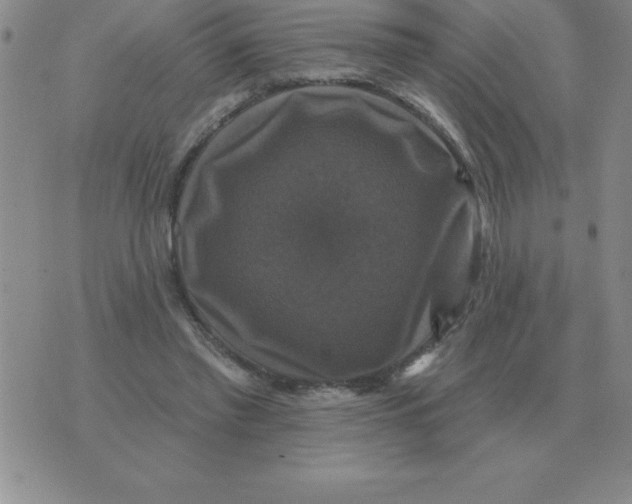 X0000076080397200610152258