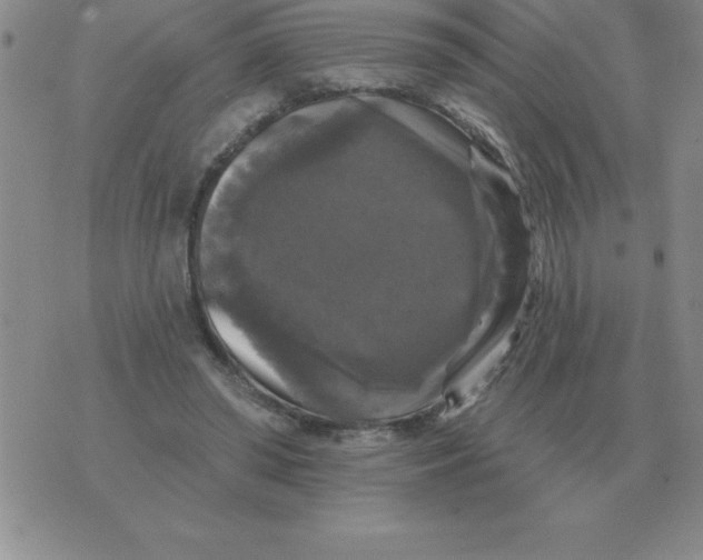 X0000076080398200610152258