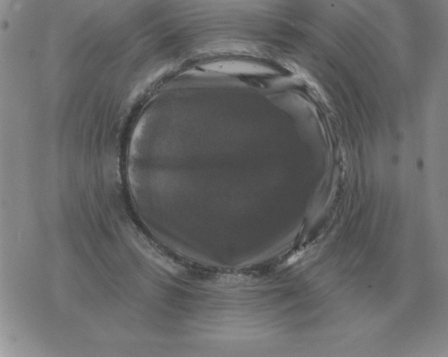 X0000076080399200610152258