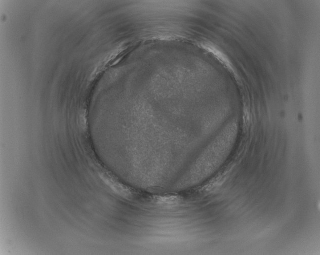 X0000076080401200610152258