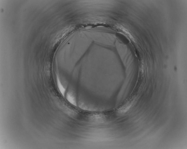 X0000076080402200610152258