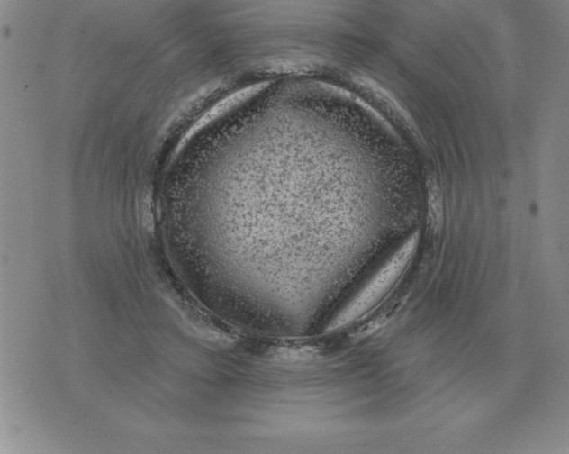 X0000076080403200610152258