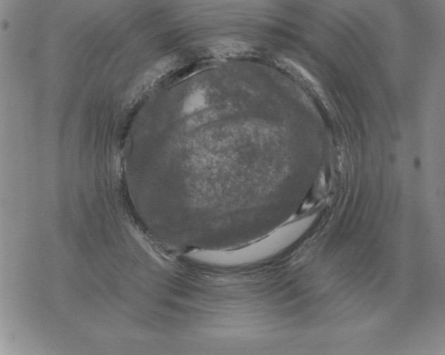 X0000076080405200610152258