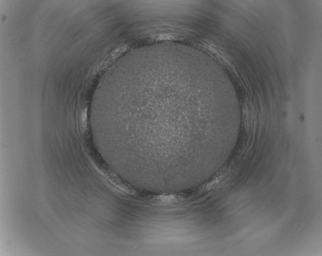 X0000076080406200610152258