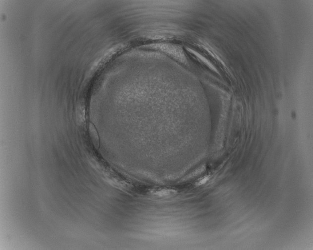 X0000076080407200610152258