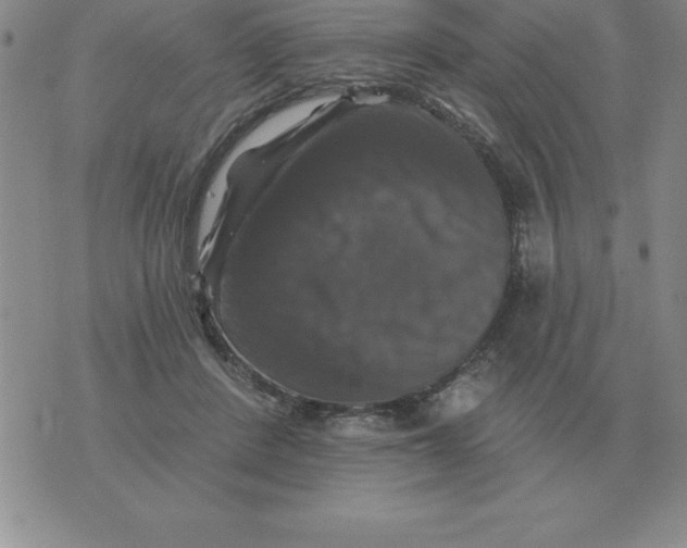 X0000076080408200610152258