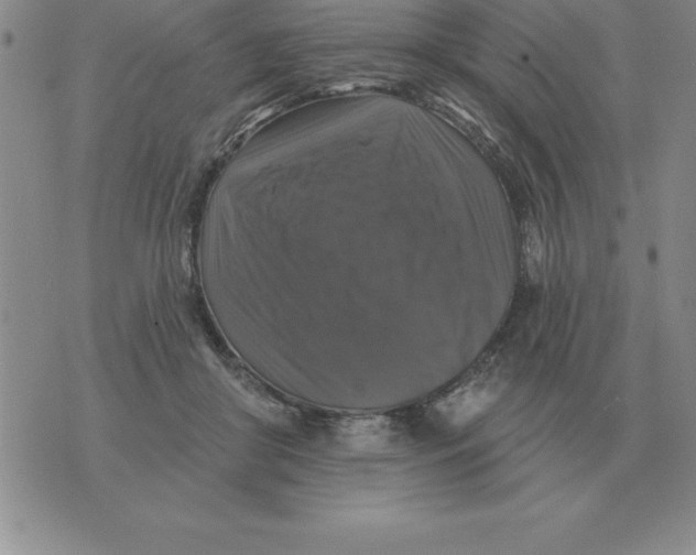 X0000076080410200610152258