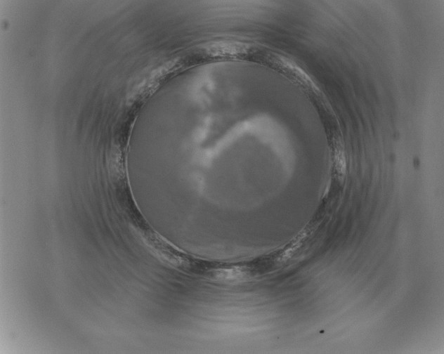 X0000076080411200610152258