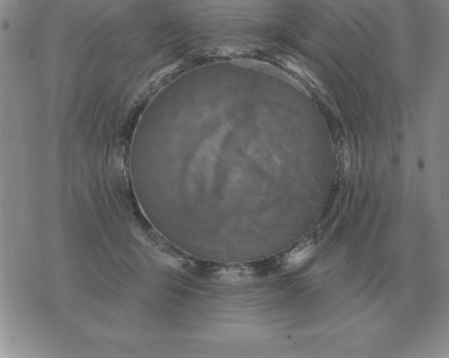 X0000076080415200610152258