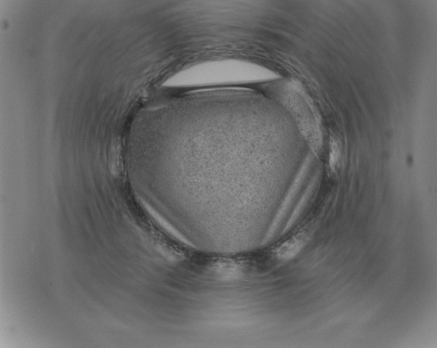 X0000076080416200610152258