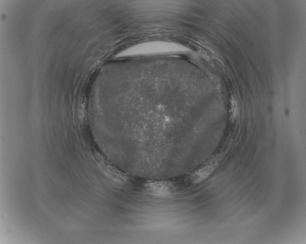 X0000076080417200610152257