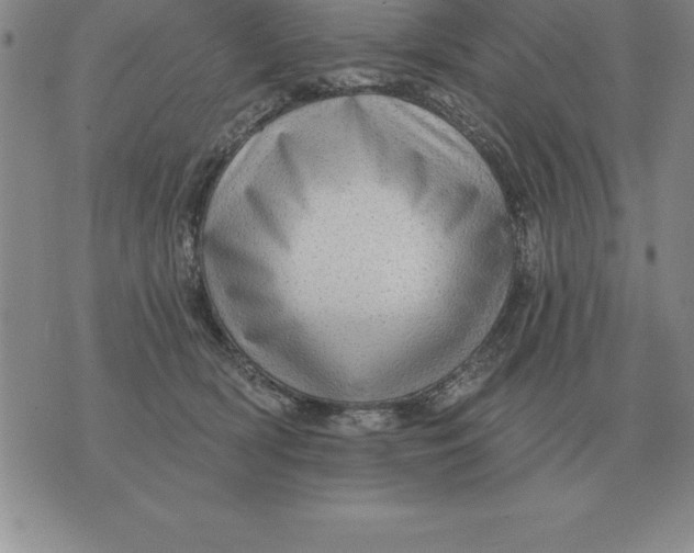 X0000076080418200610152257