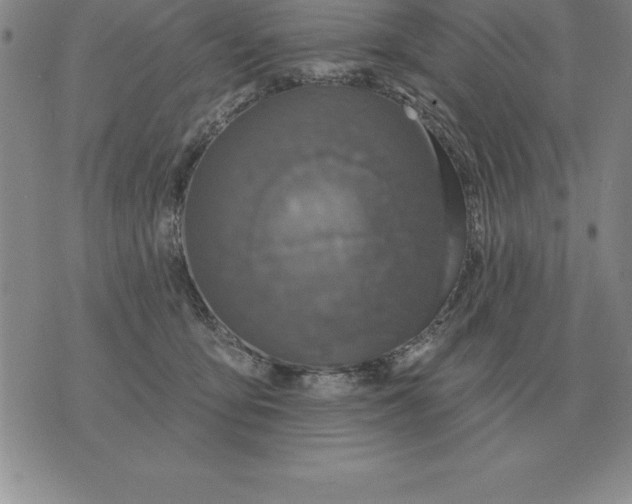 X0000076080419200610152257