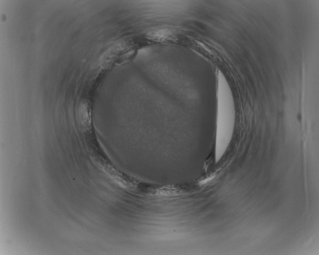 X0000076080420200610152257