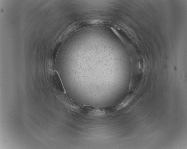 X0000076080421200610152257