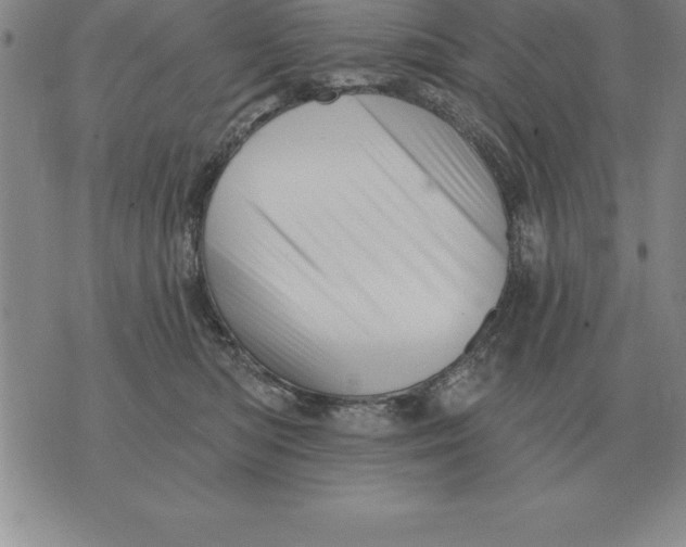 X0000076080422200610152257