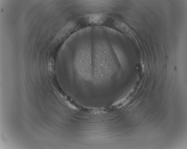 X0000076080424200610152257