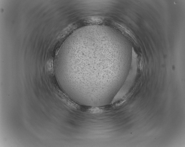 X0000076080425200610152257