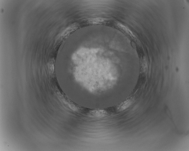 X0000076080427200610152257