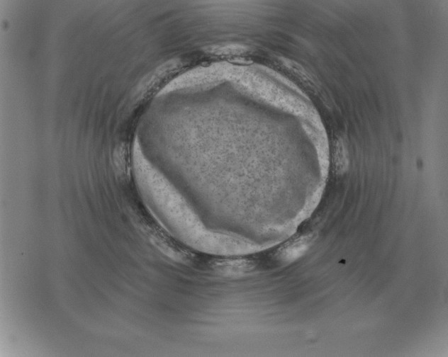 X0000076080428200610152257