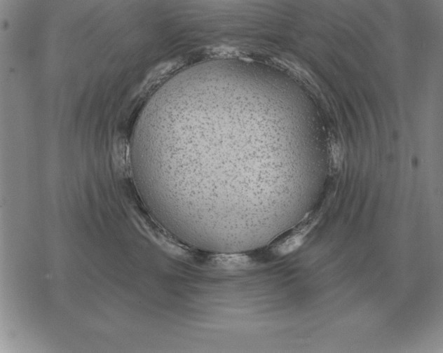 X0000076080429200610152257