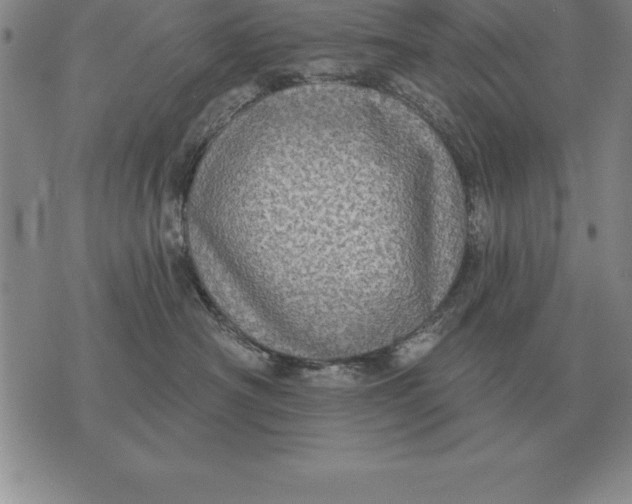 X0000076080430200610152257