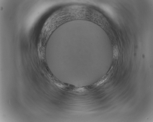 X0000076080431200610152257