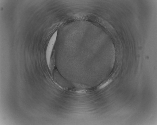 X0000076080432200610152257