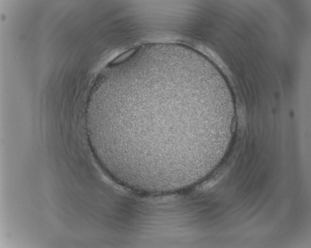 X0000076080433200610152256