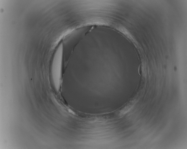 X0000076080434200610152256