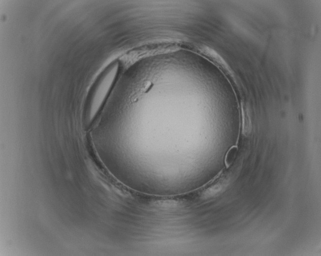 X0000076080435200610152257