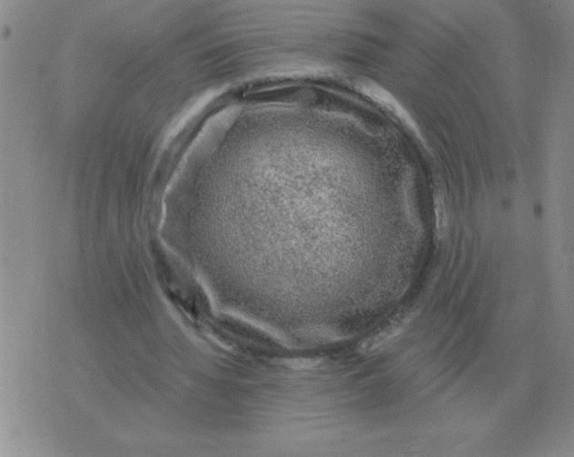 X0000076080436200610152257