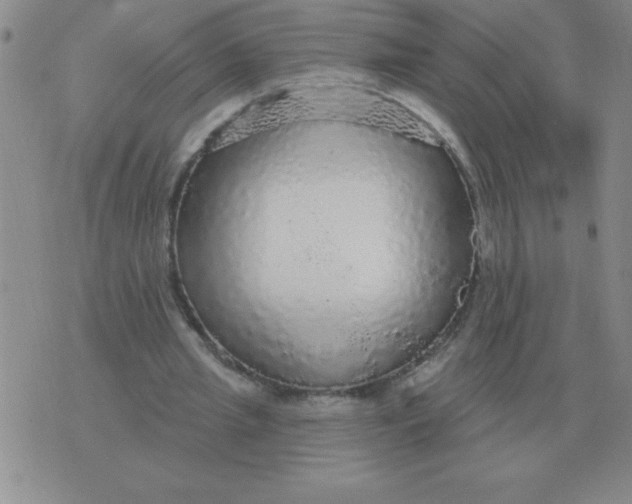 X0000076080437200610152257