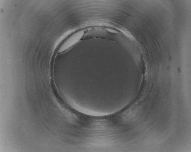 X0000076080438200610152257