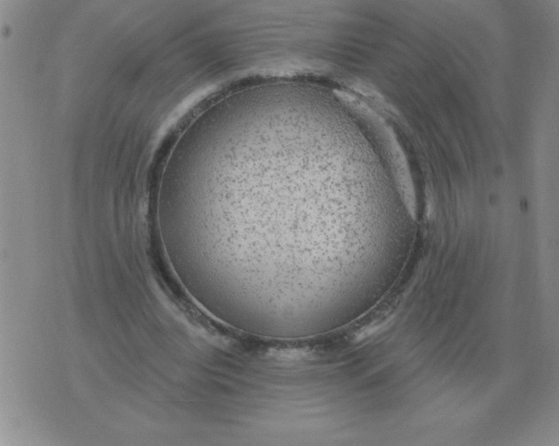 X0000076080440200610152257