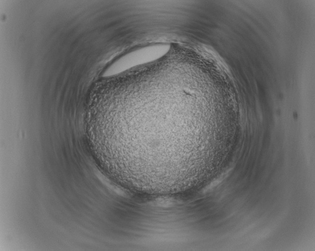 X0000076080441200610152257