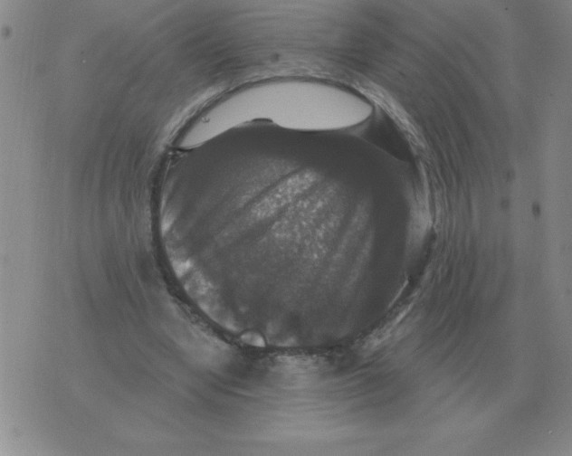 X0000076080442200610152257