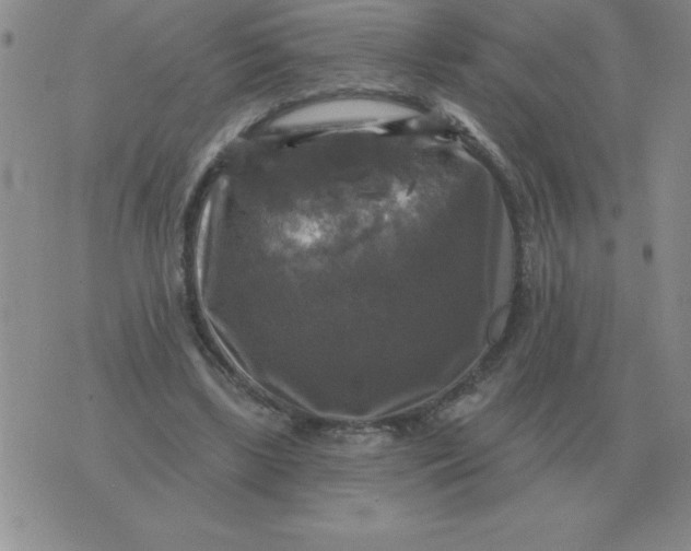 X0000076080443200610152257