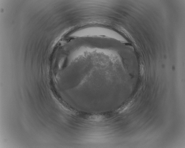 X0000076080444200610152257