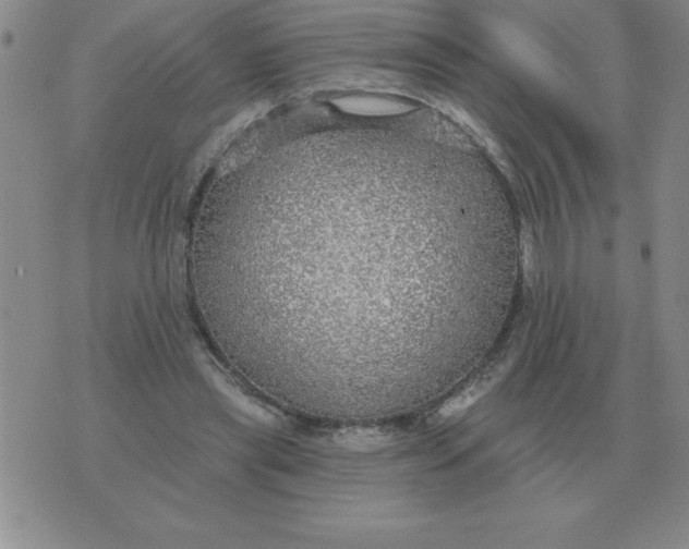 X0000076080445200610152257