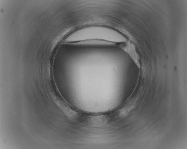 X0000076080446200610152257