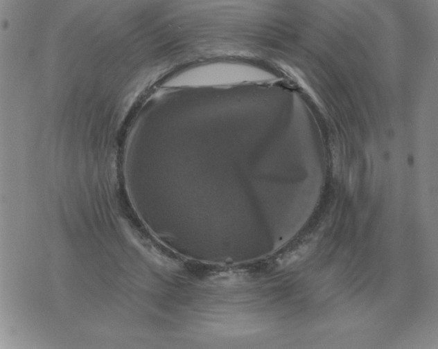 X0000076080447200610152257