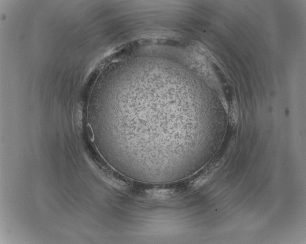 X0000076080448200610152257