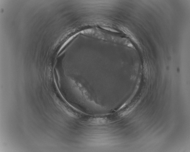 X0000076080449200610152257